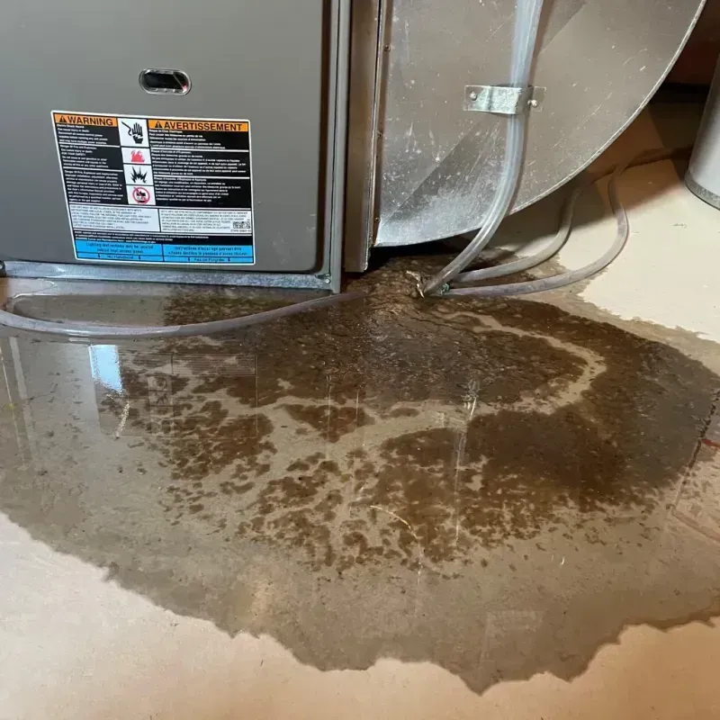 Appliance Leak Cleanup in Clayton, OH